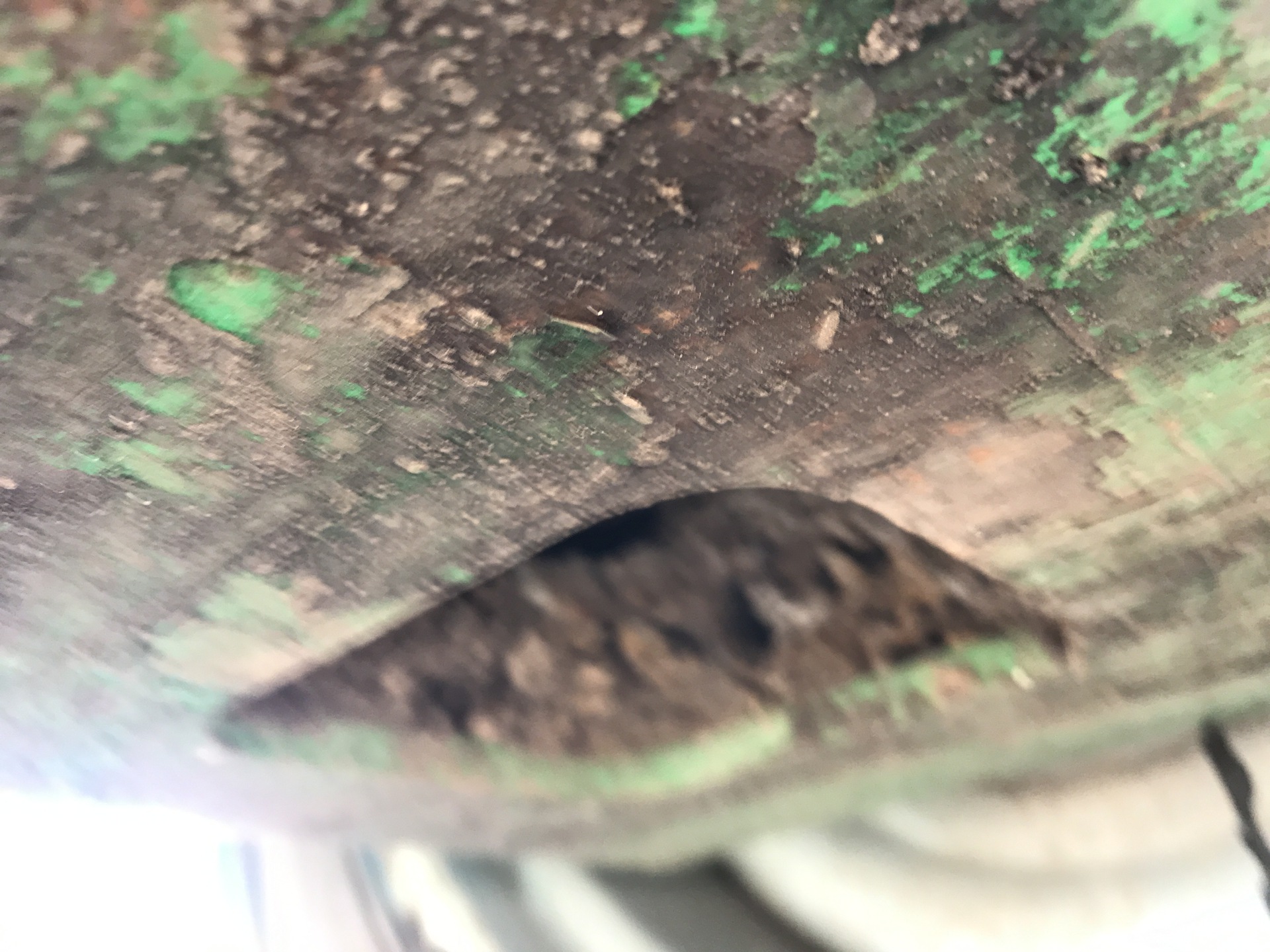Photo - 26