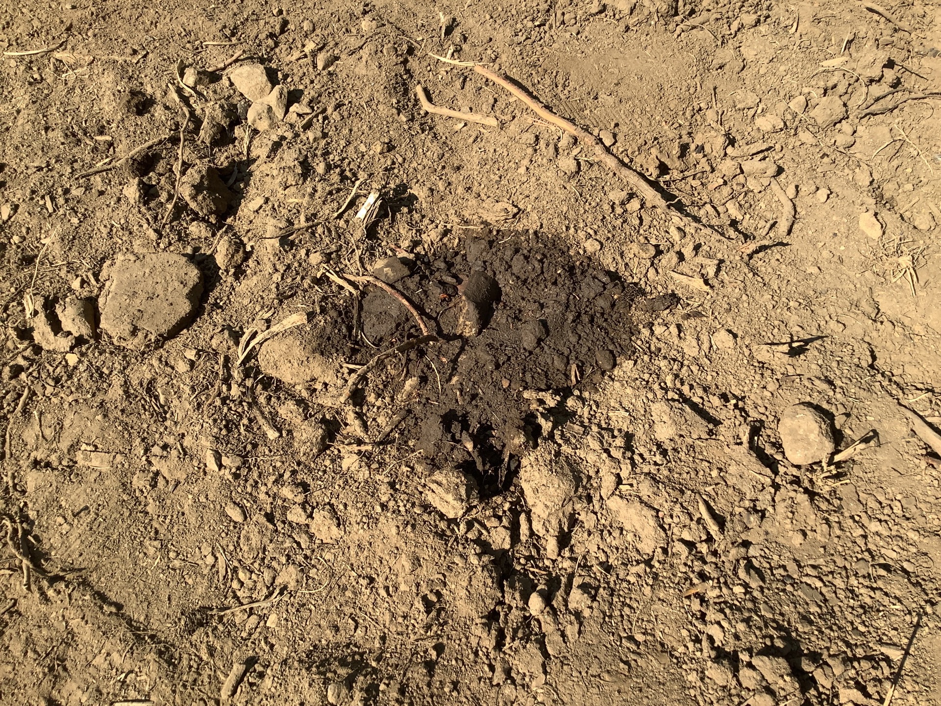 Photo - 42