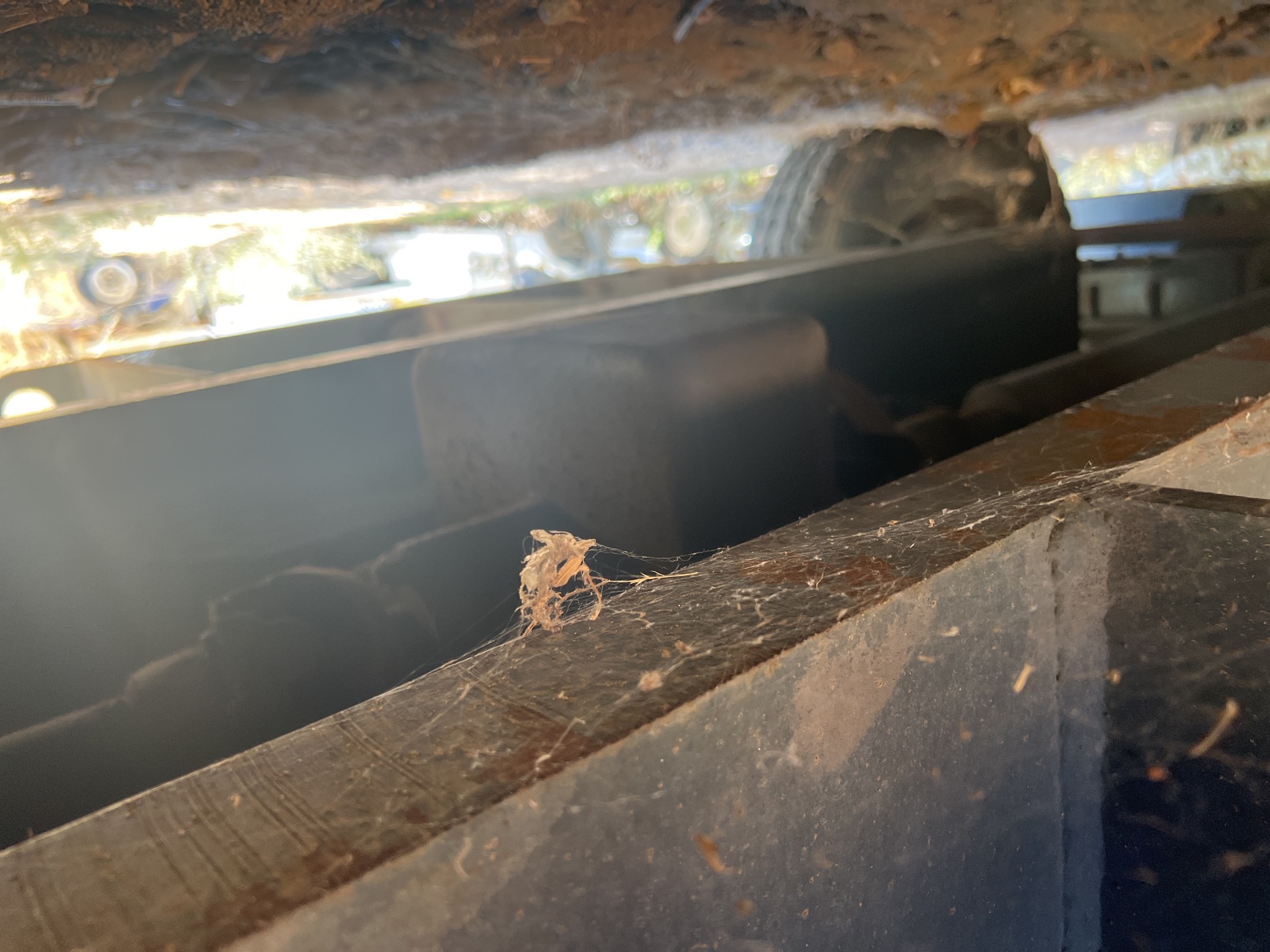 Photo - 12
